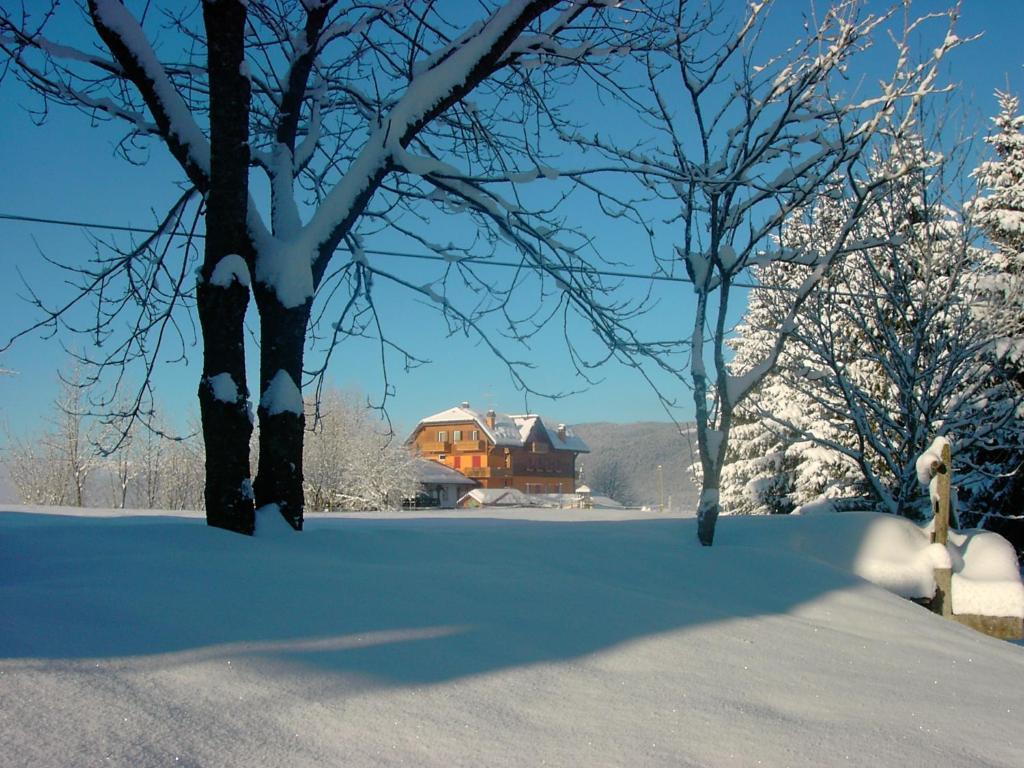 Hotel Da Barba B&B Asiago Luaran gambar