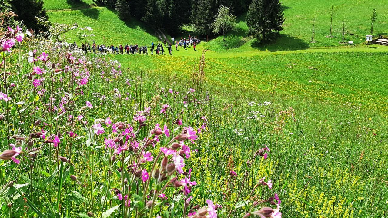 Hotel Da Barba B&B Asiago Luaran gambar